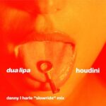 Dua Lipa Instagram – HOUDINI “SLOW RIDE” MIX by @dannylharle (also known as THE rave consultant) // OUT NOW!!!!