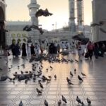 Dwi AP Instagram - Video ini gw bikin tepat di hari jum'at sebelum besoknya gw balik ke jakarta. Selepas subuh nunggu dhuha iseng ambil gambar, selepas dhuha balik hotel buat mandi dan balik ke masjid buat sholat jum'at. Gambarnya memang berurutan dg kejadian hari itu. Video opening sengaja gw ambil gambar masjidilharam pintu 79. Pintu dmana untuk pertama kalinya gw masuk ke masjidilharam. Setelah itu gw selalu masuk dr pintu yg sama. Krn menurut gw pintu 79 akses yg paling gampang untuk lgsg menuju KA'BAH. To be honest ktika gw bikin video ini gw sambil nangis berharap bs dipanggil lagi untuk bertamu dsini. Aamiin #throwback #friday