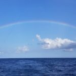 Eaddy Mays Instagram - A magical start to a magnificent day! 💪 🎣🐟 Thank you for life long memories! 😍😁 #catchandrelease #deepseafishing Emerald Isle, North Carolina