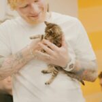 Ed Sheeran Instagram - Had @wolftrapanimalrescue come backstage in DC and bring some cute fluffballs, here are the results FedExField