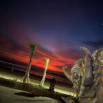 Eddie Liu Instagram - Tummy happy, heart happy Bali, Indonesia
