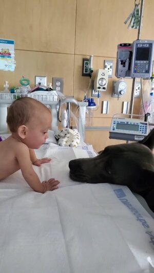 Elisabetta Fantone Instagram - You are the true definition of a miracle. I still can't believe how someone so small can be so incredibly strong. You beat all odds and fought for your right to life and your place in this world from the moment you were born and you did so with so much light and grace. I've never met anyone who fights like you do. You are an exemple of perseverance and hope. You put everything into perspective. You deserve the world my son. My eyes will always look at you with endless love and admiration. You are my hero little one. 
#Cody

Tu es la véritable définition d’un miracle. Je n'arrive toujours pas à croire comment quelqu'un d'aussi petit puisse être si incroyablement fort. Tu as surmonté tous les obstacles et tu t'es battu pour ton droit à la vie et ta place dans ce monde dès ta naissance et tu l'as fait avec tant de lumière et de grâce. Je n'ai jamais rencontré quelqu'un qui se bat comme toi mon enfant. Tu es un exemple de persévérance et d'espoir. Tu mets tout en perspective. Tu mérites le monde mon fils. Mes yeux te regarderont toujours avec un amour et une admiration sans fin. Tu es mon héros, petit. #Cody

#preemie #preemiepower #preemiestrong