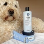 Ella-Rae Smith Instagram - Curls in check thanks to #MariaNila new Coils & Curls series 💙 #CurlsMadeEasy Whilst these may not be for dogs, Pippin firmly approves because all Maria Nila products are Animal Friendly, 100% Vegan and the brand itself makes conscious efforts towards sustainability. #ichoosefriendly #Ad @marianilastockholm