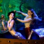 Ellen Hancock Instagram - In honor of #Merpeople on @netflix (and Little Mermaid too!! It’s mermaid season!!) … a little swim down memory lane. As they say in the Merpeople doc - once a Mer always a mer! 💗🧜🏻‍♀️ Watching this series got me so nostalgic and teary eyed. If you didn’t know…I was actually one of the original mermaids at @divebarsac when they opened in 2010 @divebarmermaids. Back then the mermaid community was much MUCH smaller and even now it strikes me just how lucky and rare and special this job was to have. To say you were a professional mermaid is not common! Lol. I swam at Dive Bar for about two years before venturing on to LA to pursue acting. One of the strangest most magical times in my life ✨✨✨ Much love to my mermaid family and the amazing community of artistic and renegade individuals who identify as mermaids ❤️❤️❤️ You make the world a brighter place ✨💗 #partofyourworld #mermaid #thelittlemermaid #littlemermaid #merpeoplenetflix Under the Sea