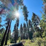 Ellen Hancock Instagram – Fallen Leaf Lake 💙 & Lake Tahoe ✨ Fallen Leaf Campground