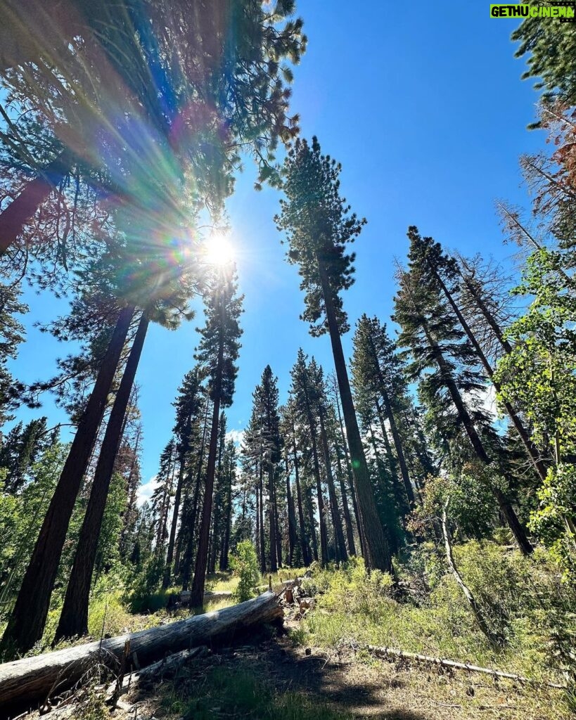 Ellen Hancock Instagram - Fallen Leaf Lake 💙 & Lake Tahoe ✨ Fallen Leaf Campground