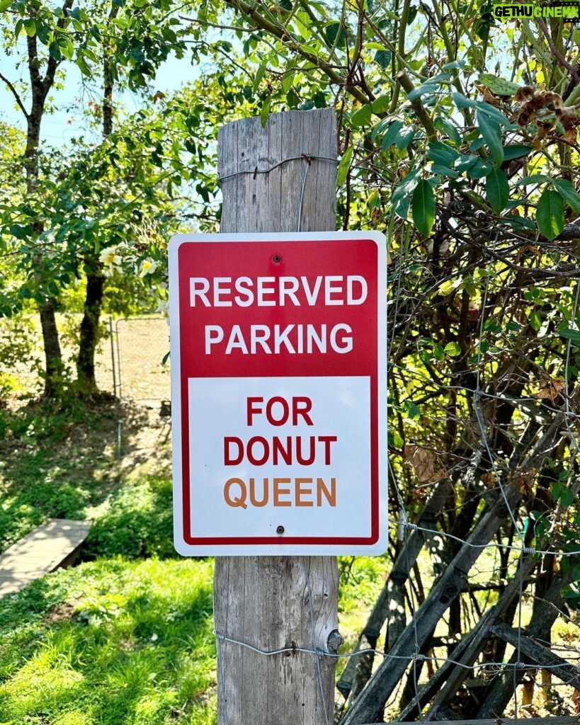 Ellen Hancock Instagram - Reserved parking @applehillofficial @rainbow_orchards_ca #donutqueen 🍎👑 Rainbow Orchards