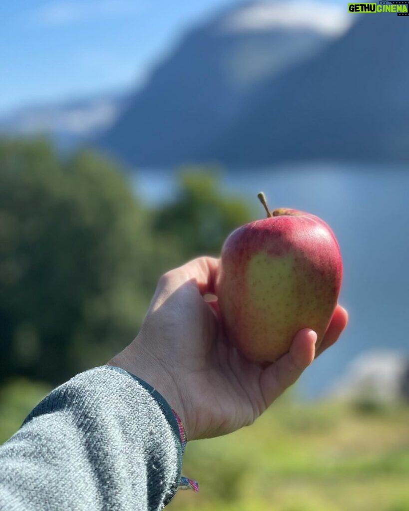 Emelie Forsberg Instagram - My favourite summer drink ➡ @moonvalley.me apple sportdrink! So fresh with lemon and just the good amount of sugar and salt needed for a warm day or a training. We love our nordic treasures and apple is one of them. Apples are also a good source of fiber and antioxidants 💚 Have you tried it?