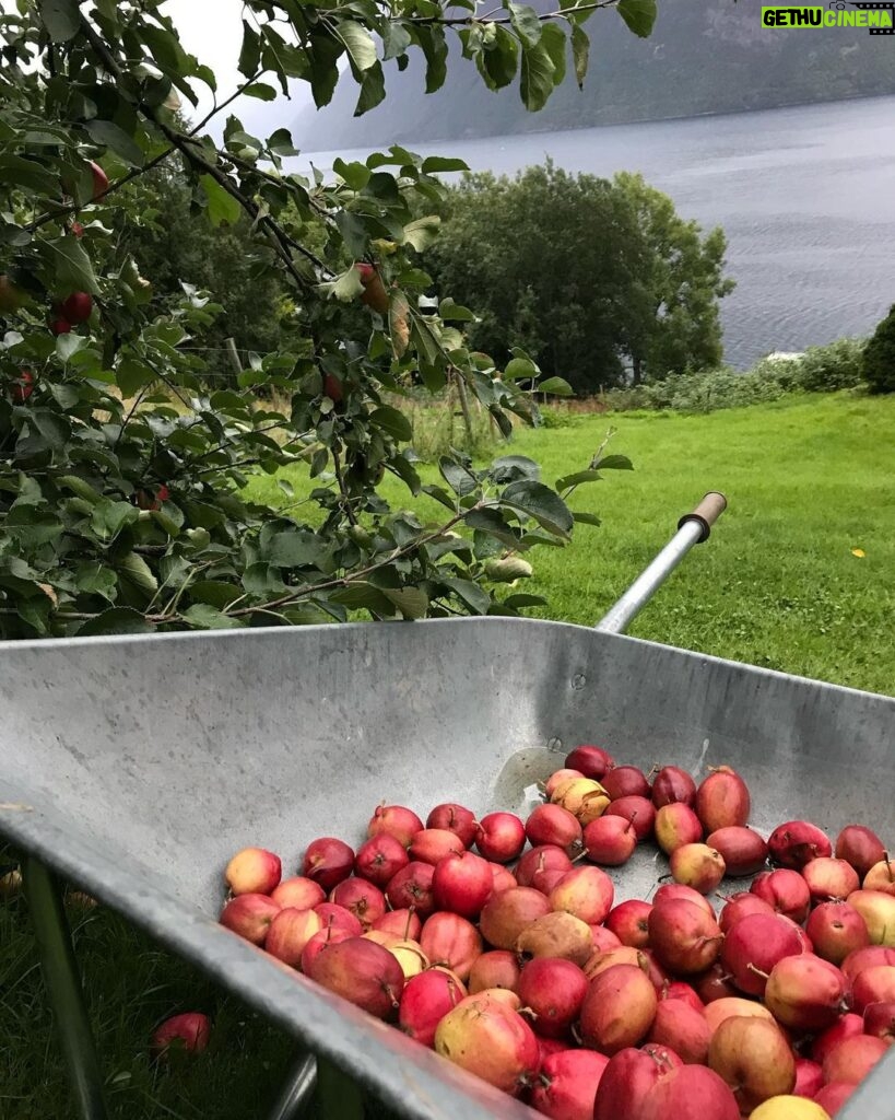 Emelie Forsberg Instagram - My favourite summer drink ➡ @moonvalley.me apple sportdrink! So fresh with lemon and just the good amount of sugar and salt needed for a warm day or a training. We love our nordic treasures and apple is one of them. Apples are also a good source of fiber and antioxidants 💚 Have you tried it?