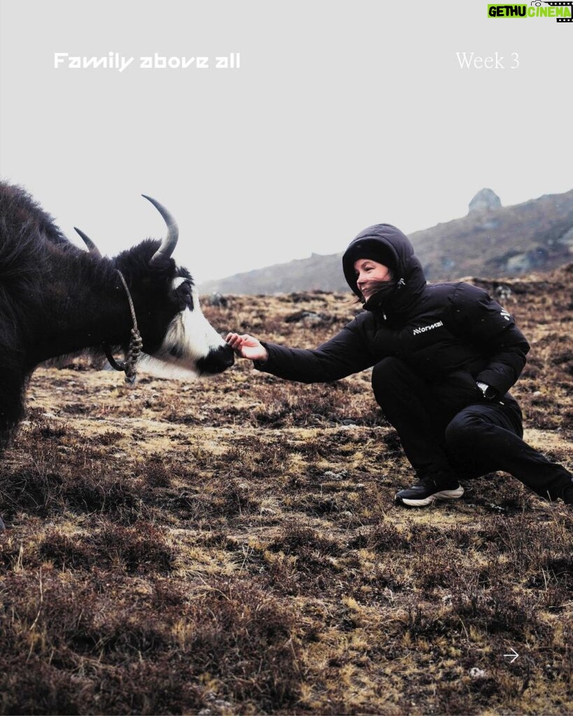 Emelie Forsberg Instagram - The Himalayas have made us reflect on the fragility of our planet. After a long and inspiring conversation with Emelie Forsberg and Kilian Jornet, today we are sharing with you some sustainability thoughtful reflections. Do you wanna know them? Learn more about sustainability in the Himalayas in the link in bio #NNormal #YourPathNoTrace 📸 @julien_rai