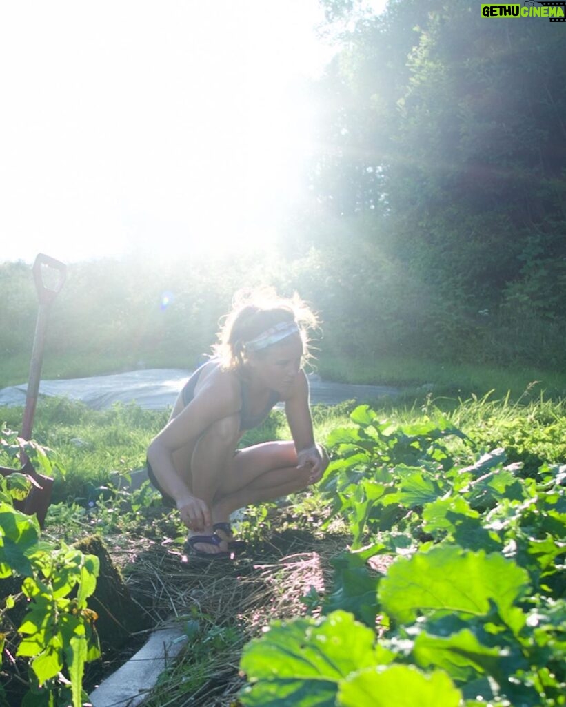 Emelie Forsberg Instagram - Recharging my battery with an easy jog, then a day at home. I putting my hands in the soil, feeling the ground under my bare feet, listening to the birds sing, watching the bumblebees swirl around and picking the food straight from the plants. 💚 Thankful for the nature.