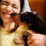 Emilia Clarke Instagram - The 3 stages of Ted’s love language. Licking is introduced at a distance. Zero understanding of human kiss. Screw it gimme your face. #sleepeatrepeat #🥰 #🕺