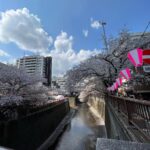 Emily Ratajkowski Instagram – 🇯🇵 The Tokyo EDITION, Toranomon