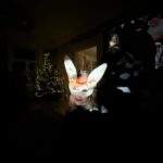 Ester Geislerová Instagram - Miluju promítačky a promítání… odjakživa! Projektory na diapozitivy, promítačky v kině, domácí malé projektory. Měla jsem se jmenovat Epson, ne Ester. #atelier22 Párti @atelier22_23 @zuza_led @katerinaoujezdska @geislerka