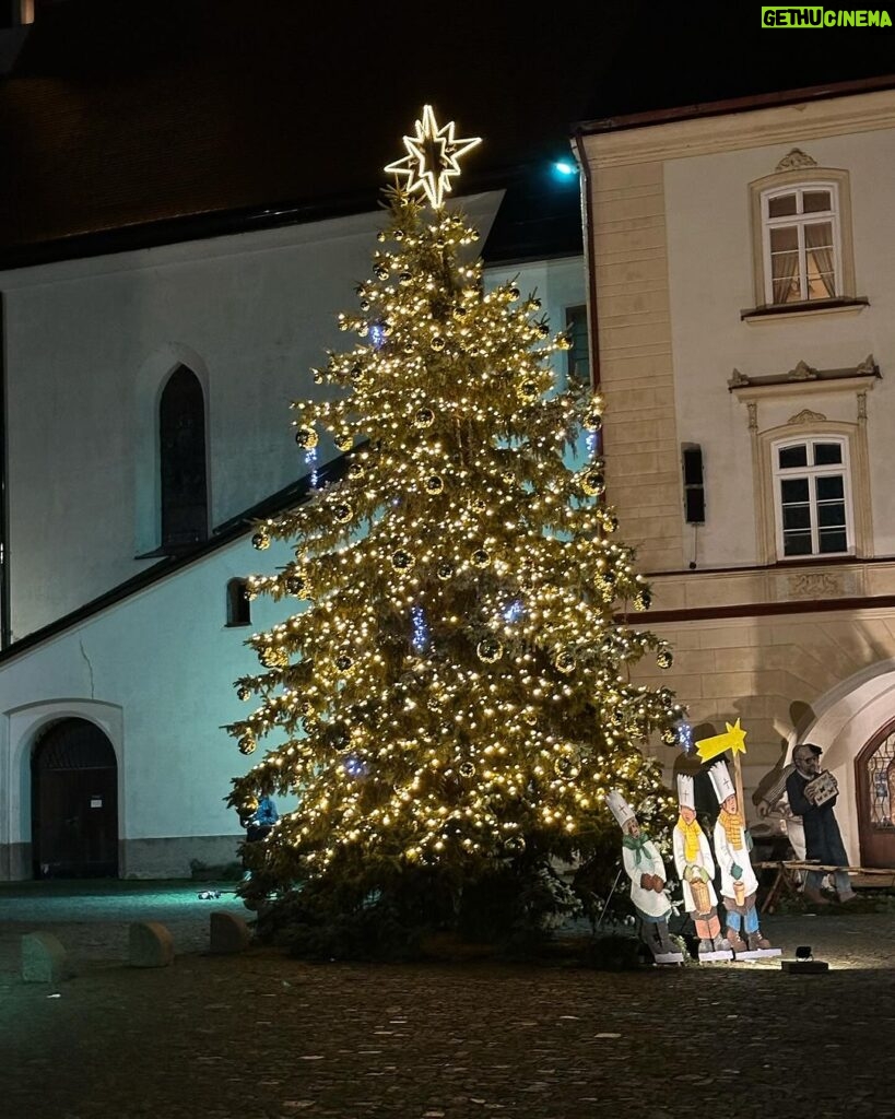 Ester Geislerová Instagram - Klid.🎄