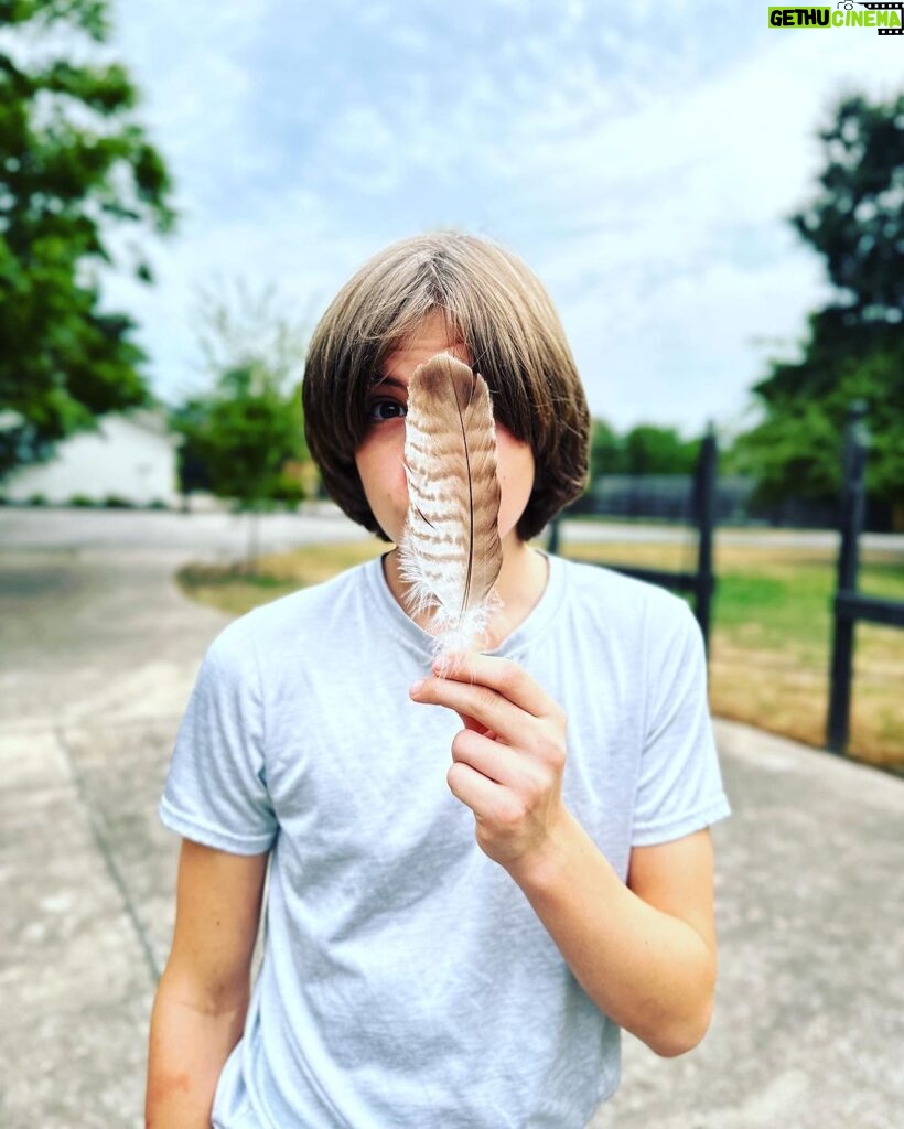 Ethan Thomas Jung Instagram - Mr. Hawk, you dropped something. 🪶 #feather #hawk #bird #birdwatching #nature #outdoors #thegreatoutdoors