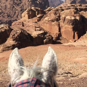 Faye Marsay Instagram - 🇯🇴