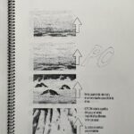 Fermin Muguruza Instagram - "Borreroak baditu milaka aurpegi" 30 urte jada. Hondarribiko proiekzioak direla medio, kliparen grabaketa Hondarribiko Faron aipatu dut, eta hemen dira garai hartan MANOLO GILekin egin genuen story-board-aren orrialde batzuk. Bideoa ere bai ikusteko aukera, eta ez ahaztu, bihar osteguna, abenduak 14, ITSAS-ETXEAn azken 2 filmen aurkezpena egindo dudala: ⏰ 19:00 @blackisbeltza.2.ainhoa ⏰ 20:30 @bidasoa_2018_2023 Sarrerak hemen: https://www.hondarribia.eus/eu/-/black-is-beltza-ii-ainhoa-bidasoa-2018-2023 Hondarribia, Gipuzkoa, Euskal Herria