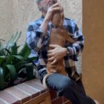 Frank Stallone Jr. Instagram - Me playing with neighbors dog Romeo, he's such a sweet dog.