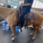 French Montana Instagram - They suspended my license so I went and bought me a horse 🐎 Fuck it let’s go to the store chikithinggg #goodsummer #wishuwell #cokeboys
