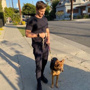 Giles Matthey Instagram - Canine Comrade #dogpal #dogmodel #dogwalks #dogs #dog #pooch #pup