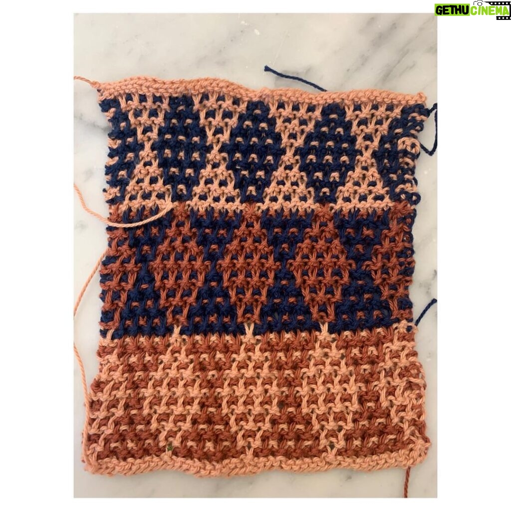 Ginnifer Goodwin Instagram - I highly recommend making a dishcloth or 8 with this (free) mid-1900s-linoleum-inspired @modern.daily.knitting @kaygardiner pattern, which is posted in my stories today. It may look fancy, but it’s all knit and slip — which is just what it sounds like: slipping the stitch to the other needle — so… You. Can. Do It. I used lovely Willet organic cotton by @quinceandco. Who is #knitting and what are you #knitting ? P.S. It’s not the worst-ever hobby: Knitting reduces anxiety, depression, and chronic pain. It slows dementia. It’d also be a useful skill in any apocalypse.