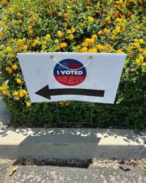 Ginnifer Goodwin Instagram - 26 years of voting