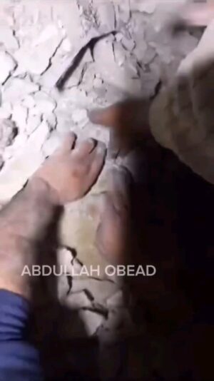 Giorgia Würth Instagram - Nuova vita il primo giorno del 2024 a #Gaza

Voglio immaginare il salvataggio miracoloso di questo bambino come un parto dalle macerie.

Voglio cercare il bello in questo orrore.

Voglio leggere speranza in questo odio.

Voglio celebrare l'eroicità di questi uomini che scavano a mani nude senza arrendersi nonostante tutto parli di morte.

La vita può trovare forme di respiro così potenti che nessuna bomba potrà mai soffocare.

Israele sta perdendo la guerra. L'occidente ha perso la dignità. Noi #restiamoumani

#freepalestine 🇵🇸