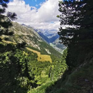 Giorgia Würth Instagram - Lo so che ultimamente va tanto di moda dire che si va dallo psicologo, e io giuro che le ho provate tutte, dalla junghiana alla freudiana, dalla cognitiva al counseling. Senza ottenere mai alcun miglioramento (sono un caso grave, lo so).
Neppure la religione ha mai funzionato su di me. In fondo la fede è un dono, e io non l'ho (ancora) ricevuto. Non demordo però, perché penso che se si crede in qualcosa (ancora meglio in qualcuno) la vita terrena sia un pochino più lieve. 

A dirla tutta però in qualcosa io ci credo: in quel soffio vitale che ha scelto di manifestarsi attraverso di me, di noi. Nell'espressione della vita che decide di abitare il nostro corpo e i nostri pensieri per un po'...

Ecco, io questa potenza di vita la sento appieno quando sono nella natura, mentre scalo una montagna e il vento mi schiaffeggia la faccia e l'ossigeno mi annaffia i pensieri facendo germogliare quelli di gratitudine. Che poi in fondo sarà solo chimica, come dice @fabrizio.caramagna, ma nessuno psicofarmaco sarebbe in grado di migliorare il mio umore quanto una vetta da raggiungere.

Oggi sul mio cammino ripido ho incontrato una donna di 83 anni (la vedete se scorrete le foto). Le ho chiesto quale fosse il suo segreto. Mi ha risposto "mangiare poco". Ora so che morirò giovane.

#puntadellaregina
#gressoney