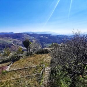 Giorgia Würth Instagram - Spello alle mie spalle

E poi su su, fino a #Collepino.

Per pensare meno
Per pensare meglio

Per affidarsi agli ulivi

Che paradiso che è l'Umbria

#sentierodellacquedotto
#festivaldispello
#spello
#umbria
#ioluiealtrieffetticollaterali
#graziemerda è