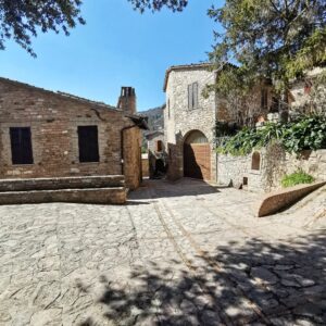 Giorgia Würth Instagram - Spello alle mie spalle

E poi su su, fino a #Collepino.

Per pensare meno
Per pensare meglio

Per affidarsi agli ulivi

Che paradiso che è l'Umbria

#sentierodellacquedotto
#festivaldispello
#spello
#umbria
#ioluiealtrieffetticollaterali
#graziemerda è