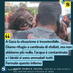 Giorgia Wurth Instagram - Dove sei, umanità?