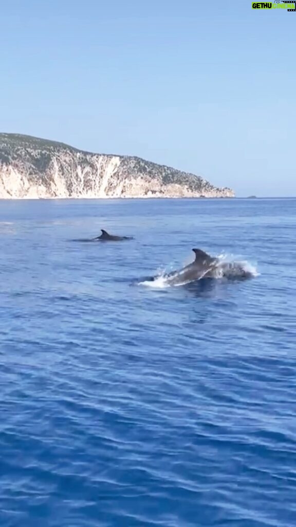 Giulia Mizzoni Instagram - 23-07-2023 - Finalmente è successo!👇 Speravo dall’inizio della vacanza di poter vivere questa esperienza con la mia famiglia🐬 …abbiamo incontrato i delfini!!! La prima volta che li vidi avevo 7 anni come Pietro mentre ero in barca a vela e da allora è il mio animale preferito. A voi piacciono? #dolphins #delfini #greece #boat #giornatainbarca #famiglia #mare #blumare #cefalonia #animals #animalslover #animalsofinstagram #love #familytime #barbie #barbiegirl Fteri Beach