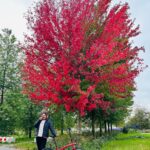 Grace Antony Instagram - Finding new leaves••🍁 . . . . #amsterdam #autumn #autumnvibes #autumnvibes🍁 #graceantony Amsterdam, Netherlands