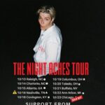 Grace Baldridge Instagram - ‼️CHICAGO IS SOLD OUT‼️ Thank you so much! We love playing in your city (swipe for proof). Can’t think of a better way to end this run. Nashville is looking like it will sell out too. Don’t be shy. Chicago, Illinois