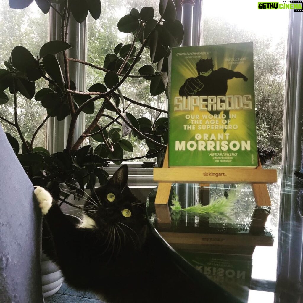 Grant Morrison Instagram - Look for new Supergods excerpts over at Xanaduum on Substack! Link in bio. #supergods #xanaduum #substack #cats #catsofinstagram #book #superheroes