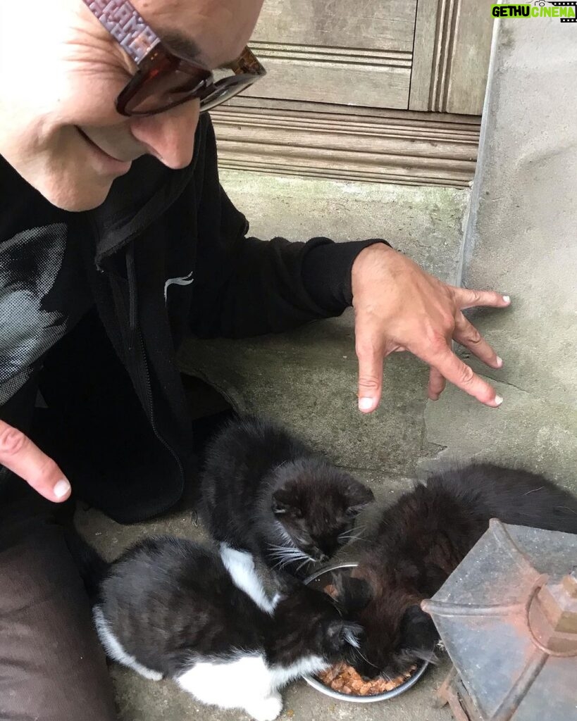 Grant Morrison Instagram - Happy International Cat Day! #kittens #cats #internationalcatday #catdaddy #catsofinstagram #kittensofinstagram