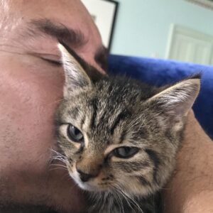 Grant Morrison Instagram - Dial M for Max #kittensofinstagram #maxpower #11weeksold #mmm