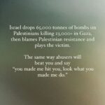 Hāwane Rios Instagram - amplifying from my sister @sofiasamarah ‘The second I saw this statement by israel, I heard the words of every narcissistic, manipulative, abusive person I’ve ever had to deal with. We’ve heard this before, we’ve seen this before. We are not dumb. We know who the abuser is. Incase you forgot, 1 ton is equivalent to 2,204.5 pounds. Israel has dropped 143.3 million pounds worth of bombs on Gaza in 3 months. But sure, they’re the victims. Palestinian made them do it I’m sure.’ i’m still shadow banned but i’m going to still post. if you see this please share it. please amplify pages that posting about palestine. #freepalestine