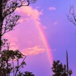 Hāwane Rios Instagram - my beloved adores twilight she loves to see the night make way for the day so much so that when i wake up before sunrise all i see is Hōpoelehua in land and sky to hold and be held by her and everything she loves what a gift today i poured honey on my heart and welcomed the storms of Lono within & without i leaned deeply into the sweetness of fresh rain on lehua blossoms and sang sweet songs for a world that has become too bitter waiho‘olu‘u(lu‘u kaumaha)
