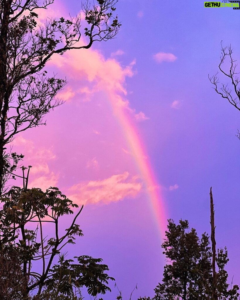 Hāwane Rios Instagram - my beloved adores twilight she loves to see the night make way for the day so much so that when i wake up before sunrise all i see is Hōpoelehua in land and sky to hold and be held by her and everything she loves what a gift today i poured honey on my heart and welcomed the storms of Lono within & without i leaned deeply into the sweetness of fresh rain on lehua blossoms and sang sweet songs for a world that has become too bitter waiho‘olu‘u(lu‘u kaumaha)