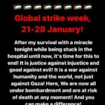 Hāwane Rios Instagram – ‼️🔺 URGENT CALL TO ACTION 🔺‼️

E NAUANE MAI, E ‘ALU MAI, E KŪ MAI!
Amplifying the voice, message, and call to action from @wizard_bisan1. This is the time to take a real stand for humanity to demand a permanent ceasefire and full restoration of sovereignty to the Palestinian People on their own Ancestral Homelands of Palestine. Silence is not an option. Complacency is not an option. And cowardice is not an option.  We must make a collective stance against genocide and terrorism from Palestine, to West Papua, The Congo, Sudan and every single place suffering these crimes against humanity. Please rise! Please use every avenue to effect change. No ka pono o ka ‘āina, no ka pono o kānaka. For the good of all. For the sacredness of all. For the humanity of all.

I call from heart to the hearts to of the world. I call from my soul to the souls of the world. I call upon the ancestors of all my lineages to stand with all the oppressed. I call upon my closest guides to embrace all the martyred beloved ones who have crossed into the veil far before their time.

Auē ke aloha ‘ole a ka na’au hewa

Straight from Gaza, “Share this, let the whole world see, know and STRIKE.”

🔺 KŪ KIA‘I PALESETINA! 🔺

#freepalestine #kūkiaupalesetina Puu Huluhulu