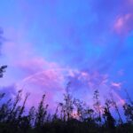 Hāwane Rios Instagram - my beloved adores twilight she loves to see the night make way for the day so much so that when i wake up before sunrise all i see is Hōpoelehua in land and sky to hold and be held by her and everything she loves what a gift today i poured honey on my heart and welcomed the storms of Lono within & without i leaned deeply into the sweetness of fresh rain on lehua blossoms and sang sweet songs for a world that has become too bitter waiho‘olu‘u(lu‘u kaumaha)
