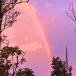 Hāwane Rios Instagram - my beloved adores twilight she loves to see the night make way for the day so much so that when i wake up before sunrise all i see is Hōpoelehua in land and sky to hold and be held by her and everything she loves what a gift today i poured honey on my heart and welcomed the storms of Lono within & without i leaned deeply into the sweetness of fresh rain on lehua blossoms and sang sweet songs for a world that has become too bitter waiho‘olu‘u(lu‘u kaumaha)