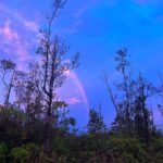 Hāwane Rios Instagram - my beloved adores twilight she loves to see the night make way for the day so much so that when i wake up before sunrise all i see is Hōpoelehua in land and sky to hold and be held by her and everything she loves what a gift today i poured honey on my heart and welcomed the storms of Lono within & without i leaned deeply into the sweetness of fresh rain on lehua blossoms and sang sweet songs for a world that has become too bitter waiho‘olu‘u(lu‘u kaumaha)
