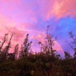 Hāwane Rios Instagram - my beloved adores twilight she loves to see the night make way for the day so much so that when i wake up before sunrise all i see is Hōpoelehua in land and sky to hold and be held by her and everything she loves what a gift today i poured honey on my heart and welcomed the storms of Lono within & without i leaned deeply into the sweetness of fresh rain on lehua blossoms and sang sweet songs for a world that has become too bitter waiho‘olu‘u(lu‘u kaumaha)