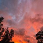 Hāwane Rios Instagram - my beloved adores twilight she loves to see the night make way for the day so much so that when i wake up before sunrise all i see is Hōpoelehua in land and sky to hold and be held by her and everything she loves what a gift today i poured honey on my heart and welcomed the storms of Lono within & without i leaned deeply into the sweetness of fresh rain on lehua blossoms and sang sweet songs for a world that has become too bitter waiho‘olu‘u(lu‘u kaumaha)