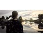 Halyna Hutchins Instagram - Annie. #film #locationscout #florida #sunset #swampland Florida