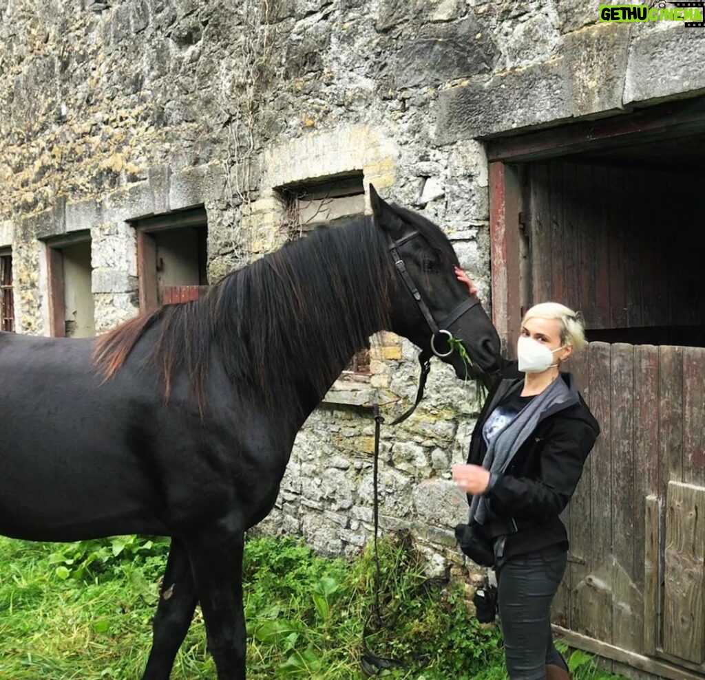 Halyna Hutchins Instagram - Our beautiful picture horse Finley #onset #onlocation #ireland #filmingwithanimals Birr, Ireland