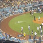 Hannah Stocking Instagram - Had one of my most fun nights of summer so far at the All-Star Celebrity Softball Game ⚾️🫡 and WE WON! LFG Brooklyn! Thank you @mlb for having me! 💃🏻 Dodger Stadium